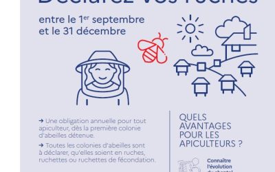 🐝 Apiculteurs : pensez à déclarer vos ruches ! 🍯