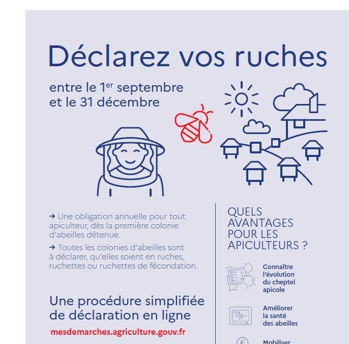 🐝 Apiculteurs : pensez à déclarer vos ruches ! 🍯